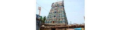 119. திருமீய்ச்சூர்